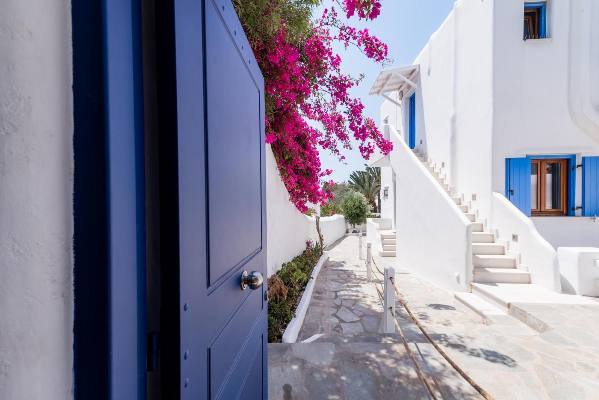 Olive Tree Mykonos Town Semi-Basement Apartment Zewnętrze zdjęcie