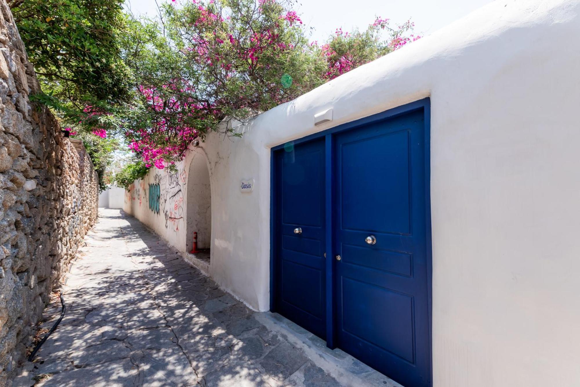 Olive Tree Mykonos Town Semi-Basement Apartment Zewnętrze zdjęcie