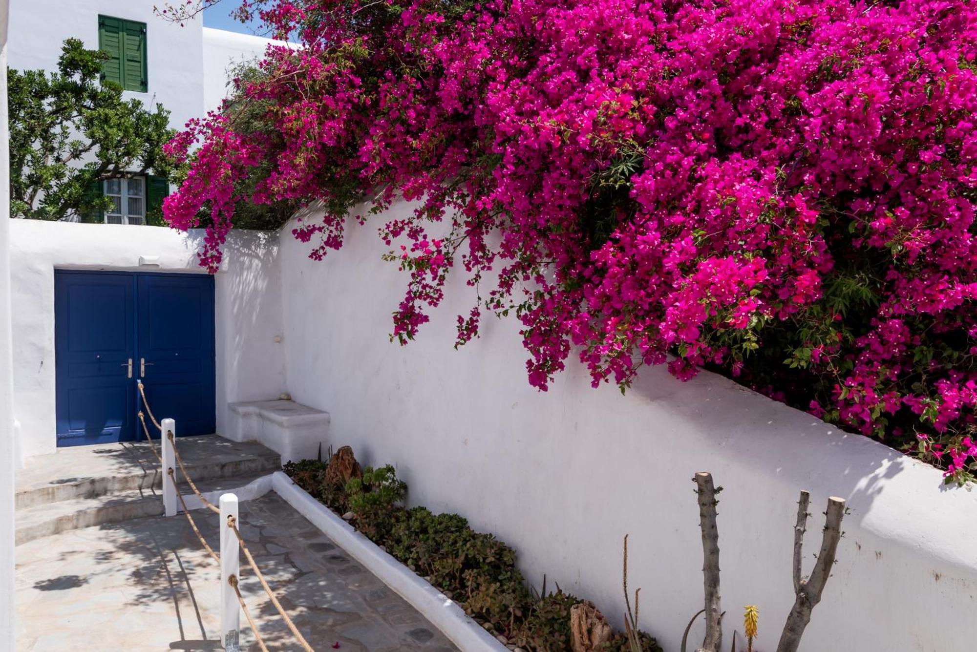 Olive Tree Mykonos Town Semi-Basement Apartment Zewnętrze zdjęcie